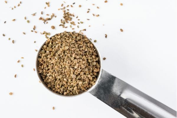 celery Powder