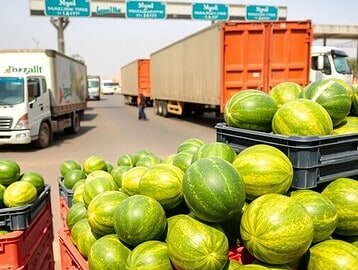 Mauritanian watermelon exports at Moroccan border crossing